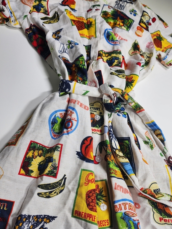 Jane and Delancey Dresses & Skirts - Jane + Delancey Medium Travel Print Shirt Dress Fruit & Postcard Short Sleeve